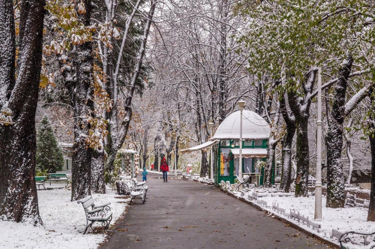 Cristi'S Rooms - Pensiune Oradea Exteriér fotografie